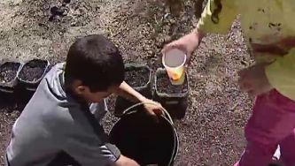 O "Hortelão Vai à Escola" em Santarém