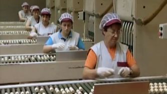 Os direitos da mulher nas voltas da lei