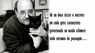 Manuel Ant&oacute;nio Pina e a rela&ccedil;&atilde;o com a poesia