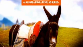 Dois ad&aacute;gios de peso 