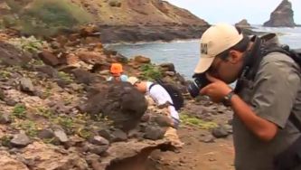 Os fósseis marinhos de Santa Maria