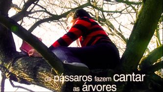 "Algumas proposi&ccedil;&otilde;es com p&aacute;ssaros...", de Ruy Belo