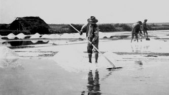 O sal do Sado: o que ficou das antigas salinas