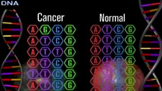 Fumar provoca muta&ccedil;&otilde;es no ADN
