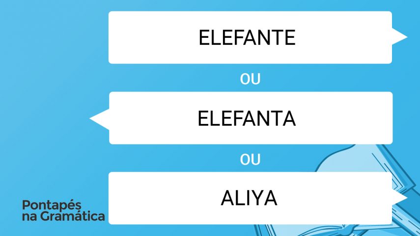 Qual o feminino de “elefante”?