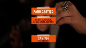 Esta palavra é castiça