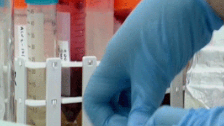Biotecnologia alimentar – investigação nacional
