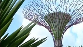 Passeio por um jardim "high-tech"