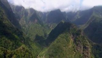 A senhora Laurissilva da Madeira