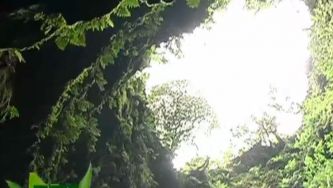 Uma aventura no vulcão adormecido dos Açores