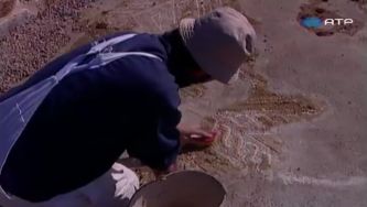 Mosaico romano único em Alter do Chão