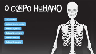 O Corpo Humano