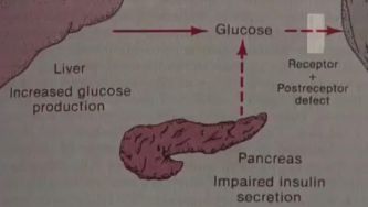 Anatomia do pâncreas