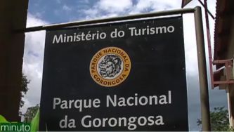 O bom exemplo de plantar árvores