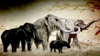 A teoria da evolu&ccedil;&atilde;o de Darwin