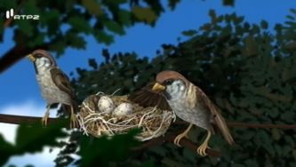 Ovíparos, animais que nascem de um ovo