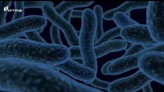 O que são micróbios?