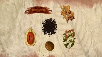 Na rota das especiarias