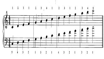 A melodia dos números