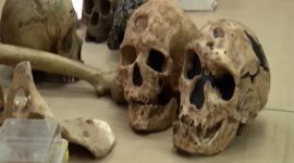 Antropologia Forense: quando os ossos contam histórias