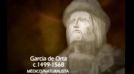 Garcia de Orta, o primeiro farmacologista