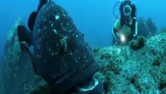 Fotografia subaqu&aacute;tica: mergulhar nas profundezas