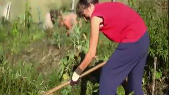 Permacultura: imitar a natureza