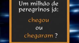 Um milhão de peregrinos chegou ou chegaram?