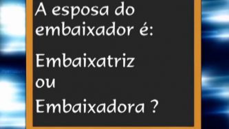 O feminino de embaixador