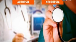 Autópsia e necrópsia: duas palavras para examinar aqui