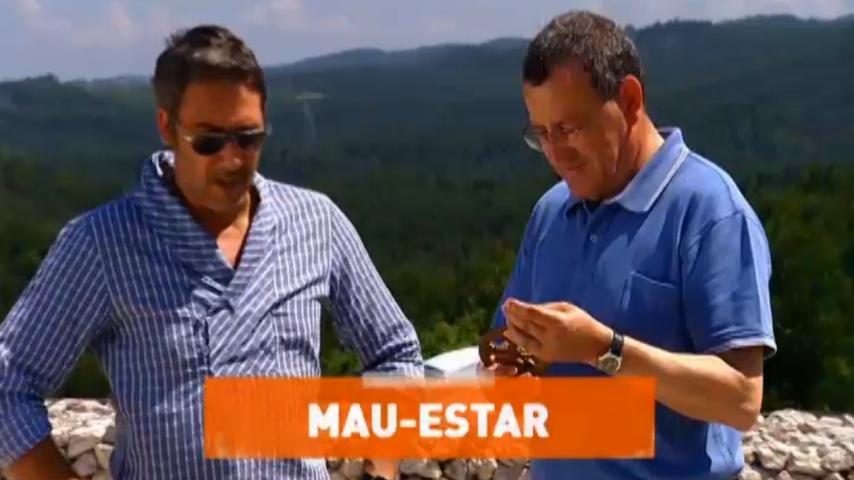 Quem sofre de mau-estar?