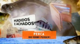 Perca e perda: uma explicação a não perder