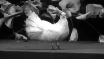 As inaugura&ccedil;&otilde;es do Estado Novo chegam &agrave; televis&atilde;o