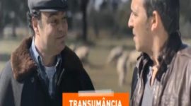 Transumância é a palavra que se segue