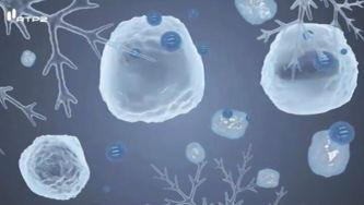 O que é o ciclo da água?