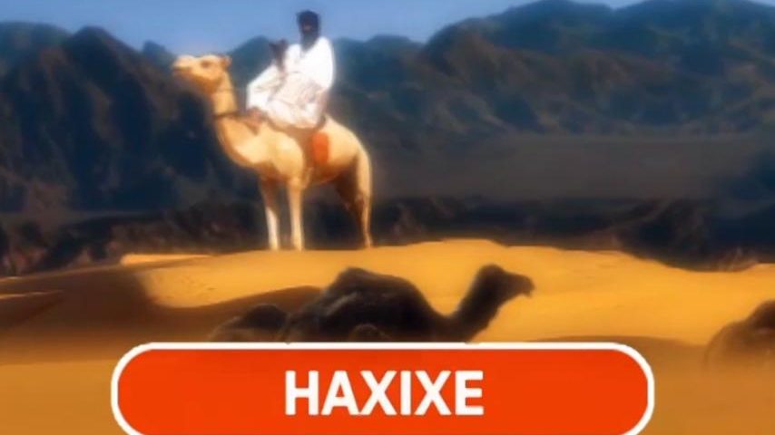 Assassinio e haxixe: qual é a relação?