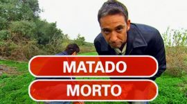 Morto, morrido e matado: qual é a regra gramatical?