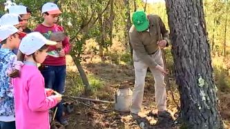 Crianças descobrem segredos da resinagem