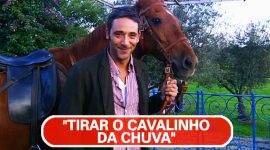 Tirar o cavalinho da chuva e perguntar porquê