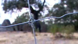 Barrancos, terra de refugiados espanh&oacute;is