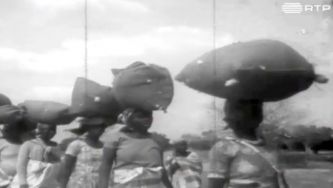 A ind&uacute;stria na primeira fase do Estado Novo