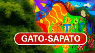 Gato-sapato, a expressão que veio de um jogo