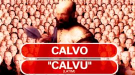 Calvo e careca: uma questão capilar