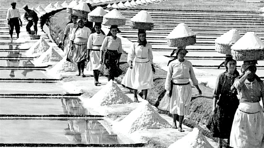 A tradição do sal no estuário do Mondego