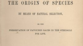 Publicação da Origem das Espécies, por Charles Darwin