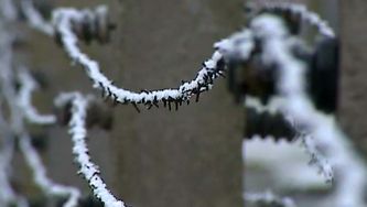 No sil&ecirc;ncio de Auschwitz