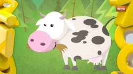 Como é que as vacas produzem leite?