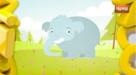 Porque é que os elefantes têm tromba?