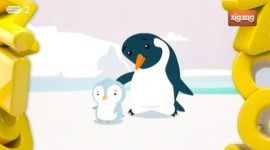 Como é que os pinguins da Antártida não congelam no meio daquele gelo todo?