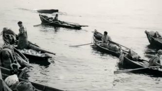 Olhares sobre as campanhas do Bacalhau